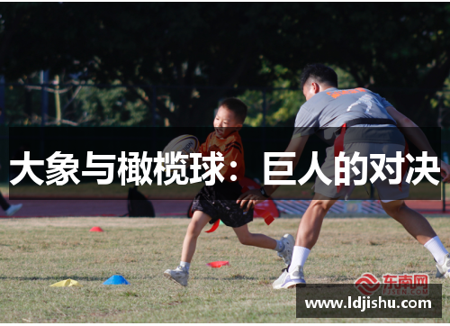 大象与橄榄球：巨人的对决